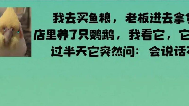 散装年货饼干，价格背后的秘密